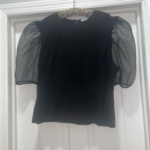 Zara sheer puffy sleeve top